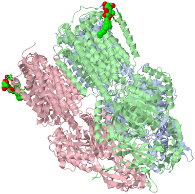 Image Biol. Unit 1 - sites