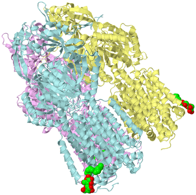 Image Biological Unit 2