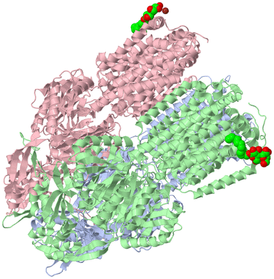 Image Biological Unit 1