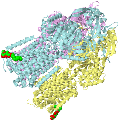 Image Biological Unit 2