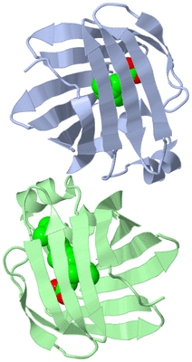 Image Asymmetric Unit