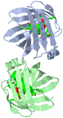 Image Asym. Unit - sites