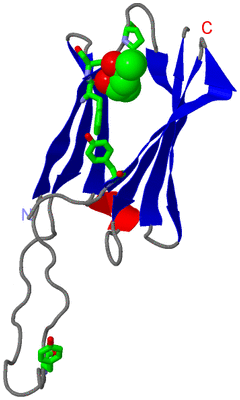 Image Asym. Unit - sites