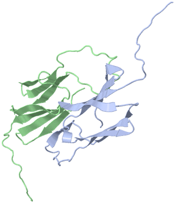 Image Asymmetric Unit