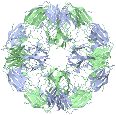 Image Biological Unit 1