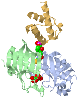 Image Asym./Biol. Unit