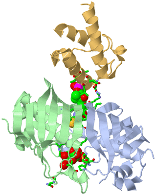 Image Asym./Biol. Unit - sites