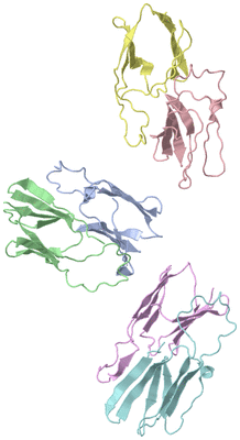 Image Asymmetric Unit
