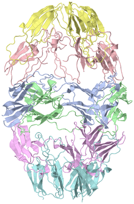 Image Biological Unit 1