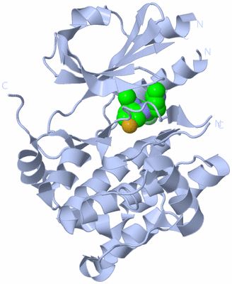 Image Biological Unit 1