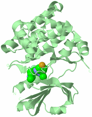 Image Biological Unit 2