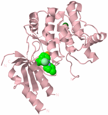 Image Biological Unit 3