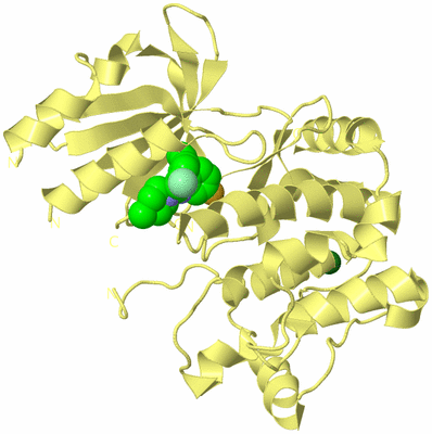 Image Biological Unit 4