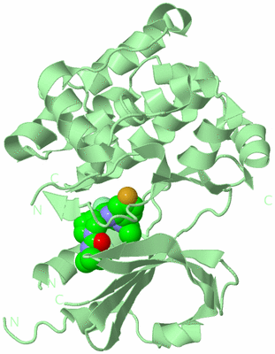 Image Biological Unit 2