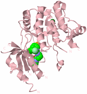 Image Biological Unit 3