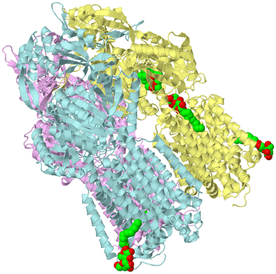 Image Biological Unit 2