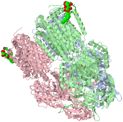 Image Biol. Unit 1 - sites