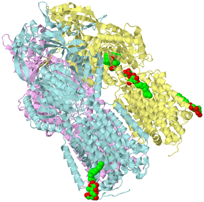 Image Biological Unit 2