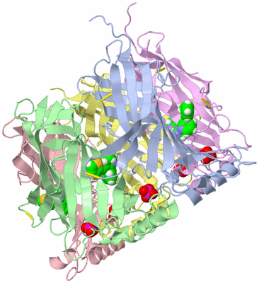 Image Biological Unit 1