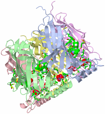 Image Biol. Unit 1 - sites