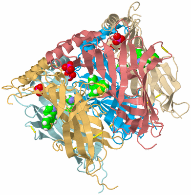 Image Biological Unit 2