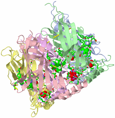 Image Biol. Unit 1 - sites