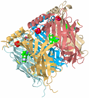 Image Biological Unit 2