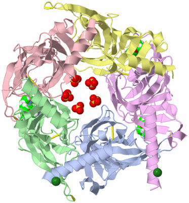 Image Asym./Biol. Unit