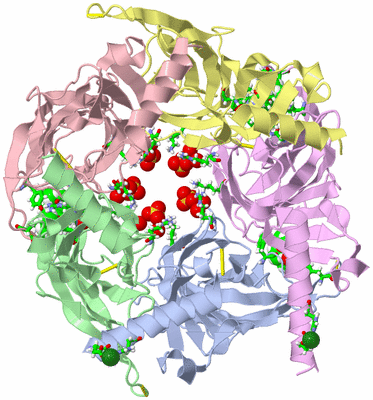 Image Asym./Biol. Unit - sites