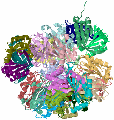 Image Asym./Biol. Unit