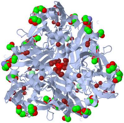 Image Biological Unit 1