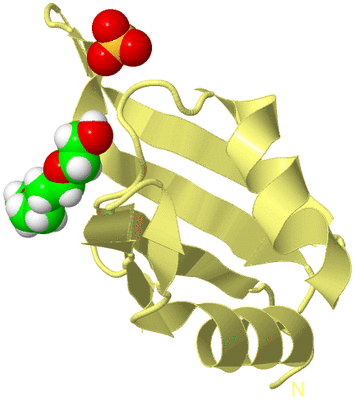 Image Biological Unit 4