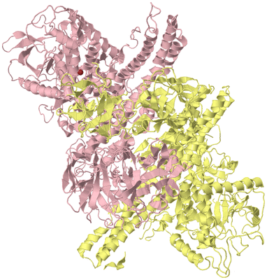 Image Biological Unit 2