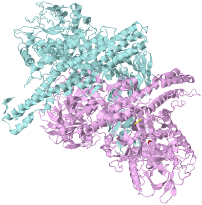 Image Biological Unit 3