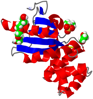 Image Asym./Biol. Unit