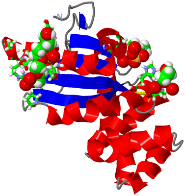 Image Asym./Biol. Unit - sites