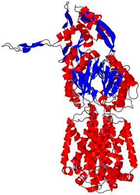 Image Asymmetric Unit