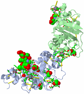 Image Asym./Biol. Unit - sites