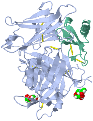 Image Biological Unit 2