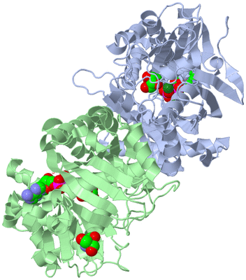 Image Asym./Biol. Unit