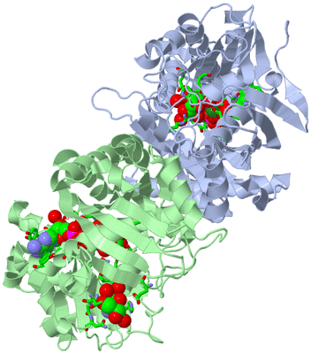 Image Asym./Biol. Unit - sites