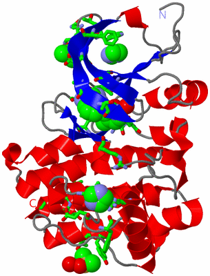 Image Asym./Biol. Unit - sites