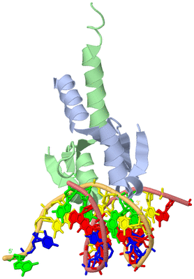 Image Biological Unit 1