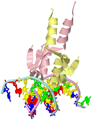 Image Biological Unit 2