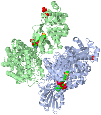 Image Asym./Biol. Unit