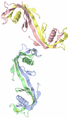 Image Asymmetric Unit