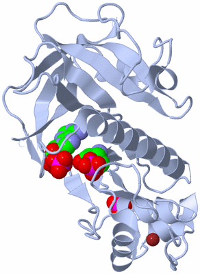 Image Biological Unit 1