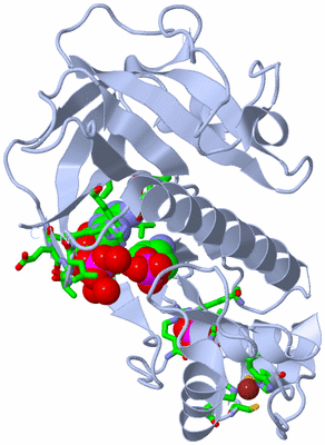 Image Biol. Unit 1 - sites