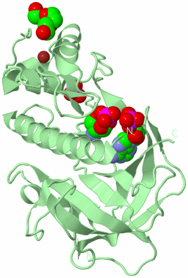 Image Biological Unit 2