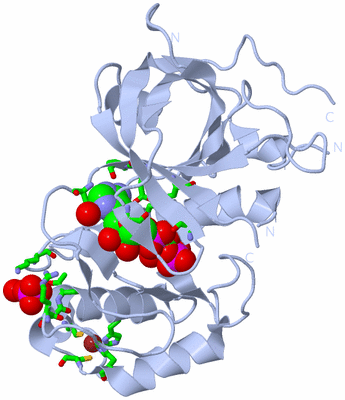 Image Biol. Unit 1 - sites